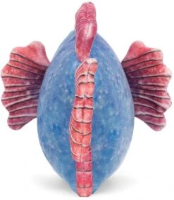 Jellycat Fischlein Blau - 13x16cm -Plüschtiere jellycat fischlein blau 13x16cm 3