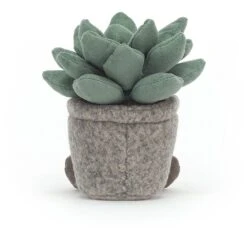 Jellycat Silly Sukkulente Kuscheltier Veterinärpflanze Azulita - 16 Cm -Plüschtiere jellycat silly sukkulente kuscheltier veterinaerpflanze azulita 16 cm 3